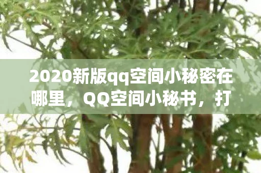 2020新版qq空间小秘密在哪里，QQ空间小秘书，打造个性化社交新体验