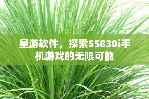 星游软件，探索S5830i手机游戏的无限可能