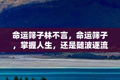 命运筛子林不言，命运筛子，掌握人生，还是随波逐流？