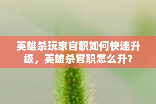 英雄杀玩家官职如何快速升级，英雄杀官职怎么升？