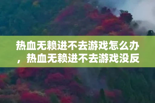 热血无赖进不去游戏怎么办，热血无赖进不去游戏没反应，解决方法大揭秘