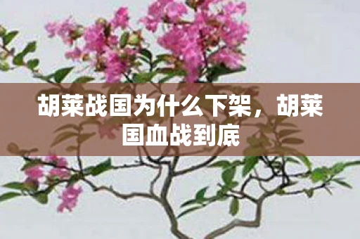 胡莱战国为什么下架，胡莱国血战到底