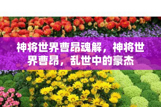 神将世界曹昂魂解，神将世界曹昂，乱世中的豪杰