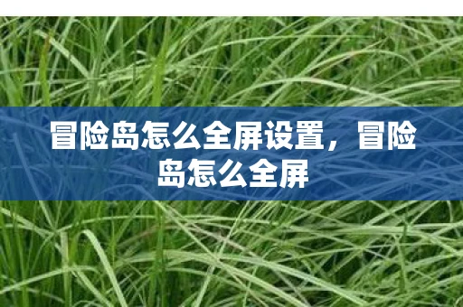 冒险岛怎么全屏设置，冒险岛怎么全屏