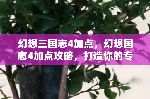 幻想三国志4加点，幻想国志4加点攻略，打造你的专属角色