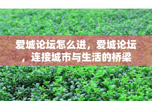 爱城论坛怎么进，爱城论坛，连接城市与生活的桥梁