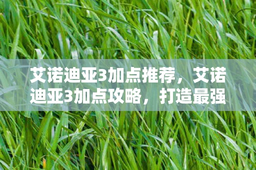 艾诺迪亚3加点推荐，艾诺迪亚3加点攻略，打造最强角色