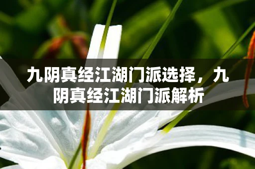 九阴真经江湖门派选择，九阴真经江湖门派解析