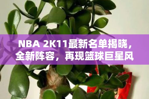 NBA 2K11最新名单揭晓图片