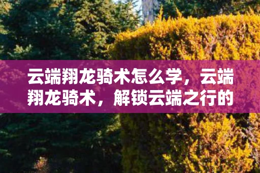 云端翔龙骑术怎么学，云端翔龙骑术，解锁云端之行的神秘之旅
