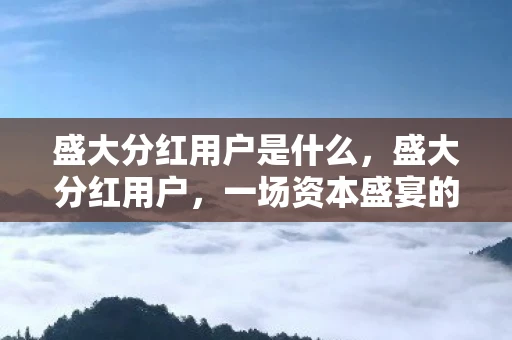 盛大分红用户是什么，盛大分红用户，一场资本盛宴的狂欢与反思