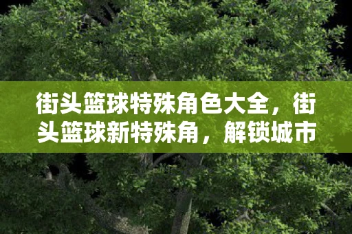 街头篮球特殊角色大全，街头篮球新特殊角，解锁城市运动的无限可能