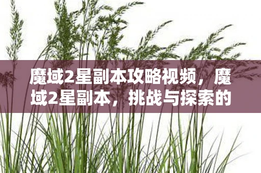 魔域2星副本攻略视频，魔域2星副本，挑战与探索的传奇之旅