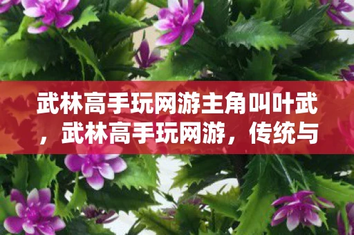 武林高手玩网游主角叫叶武，武林高手玩网游，传统与虚拟的跨界融合