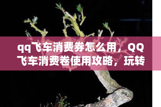 qq飞车消费券怎么用,QQ飞车消费卷使用攻略,玩转飞车,省钱又省心 qq飞车消费券怎么用,QQ飞车消费卷使用攻略,玩转飞车,省钱又省心