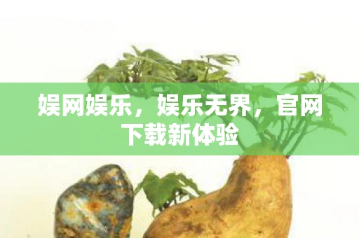 娱网娱乐，娱乐无界，官网下载新体验