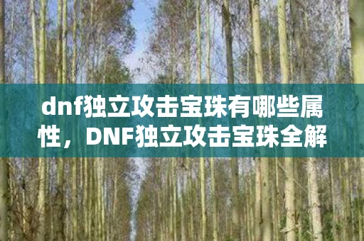 dnf独立攻击宝珠有哪些属性，DNF独立攻击宝珠全解析，提升战斗力的必备神器