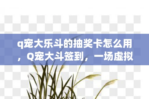 q宠大乐斗的抽奖卡怎么用，Q宠大斗签到，一场虚拟宠物的欢乐盛宴