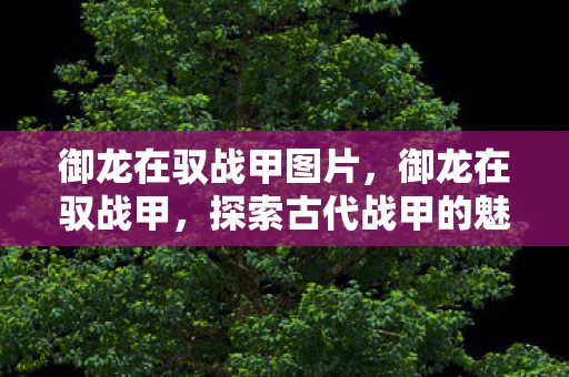 御龙在驭战甲图片，御龙在驭战甲，探索古代战甲的魅力与传奇