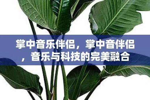 掌中音乐伴侣，掌中音伴侣，音乐与科技的完美融合