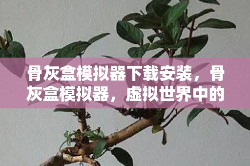 骨灰盒模拟器下载安装,骨灰盒模拟器,虚拟世界中的生命纪念与传承 骨灰盒模拟器下载安装,骨灰盒模拟器,虚拟世界中的生命纪念与传承