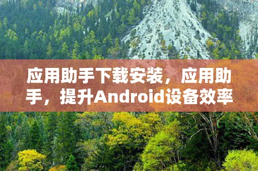 应用助手下载安装，应用助手，提升Android设备效率的必备工具