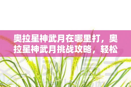 奥拉星神武月在哪里打，奥拉星神武月挑战攻略，轻松击败神武月的策略