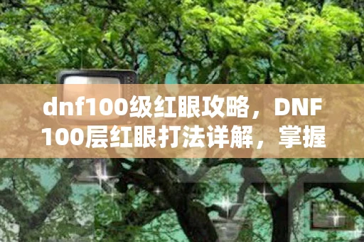 dnf100级红眼攻略，DNF100层红眼打法详解，掌握技巧，轻松通关