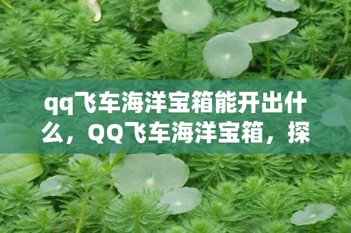 qq飞车海洋宝箱能开出什么，QQ飞车海洋宝箱，探索未知的深海宝藏