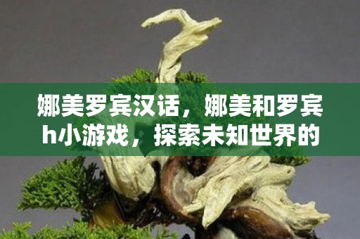 娜美罗宾汉话,娜美和罗宾h小游戏,探索未知世界的冒险之旅 娜美罗宾汉话,娜美和罗宾h小游戏,探索未知世界的冒险之旅
