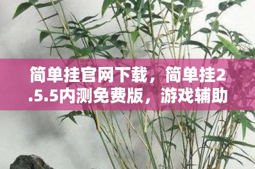 简单挂官网下载，简单挂2.5.5内测免费版，游戏辅助工具的新选择