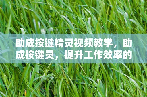 助成按键精灵视频教学，助成按键灵，提升工作效率的神奇工具