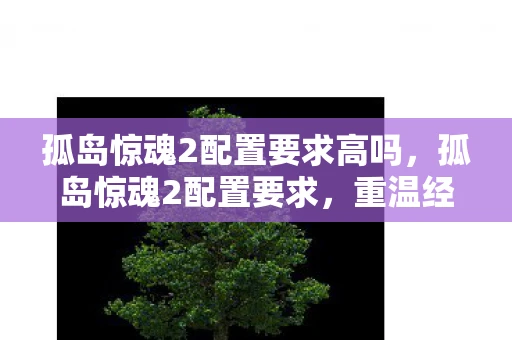 孤岛惊魂2配置要求高吗，孤岛惊魂2配置要求，重温经典，你需要这些硬件支持