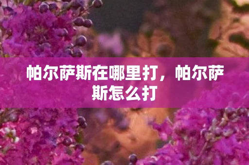 帕尔萨斯在哪里打,帕尔萨斯怎么打 帕尔萨斯在哪里打,帕尔萨斯怎么打