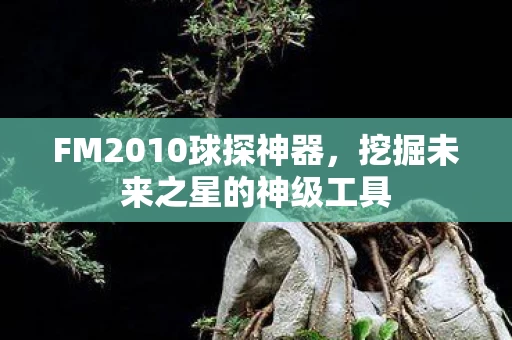 挖掘未来之星的神级工具图片