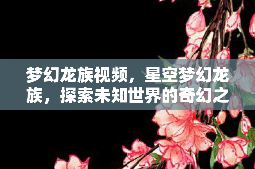 梦幻龙族视频，星空梦幻龙族，探索未知世界的奇幻之旅