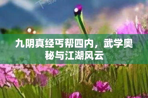 武学奥秘与江湖风云图片