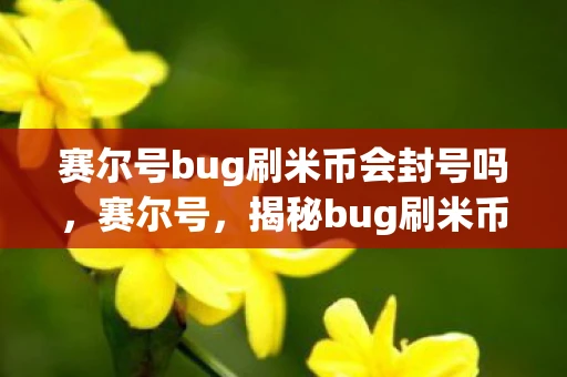 赛尔号bug刷米币会封号吗，赛尔号，揭秘bug刷米币的真相