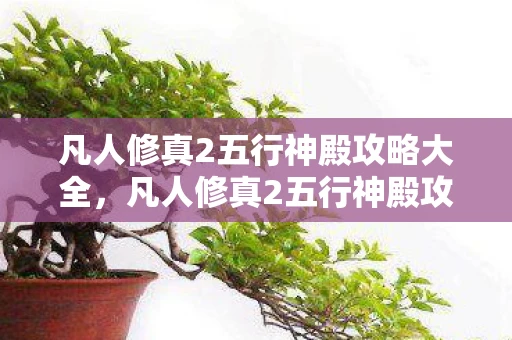 凡人修真2五行神殿攻略大全，凡人修真2五行神殿攻略