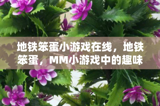 地铁笨蛋小游戏在线，地铁笨蛋，MM小游戏中的趣味挑战