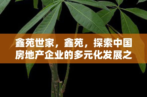 鑫苑世家，鑫苑，探索中国房地产企业的多元化发展之路