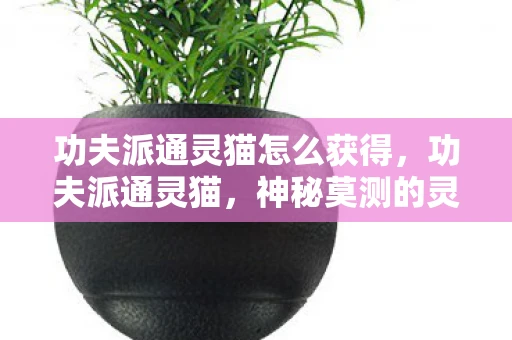 功夫派通灵猫怎么获得，功夫派通灵猫，神秘莫测的灵宠传奇