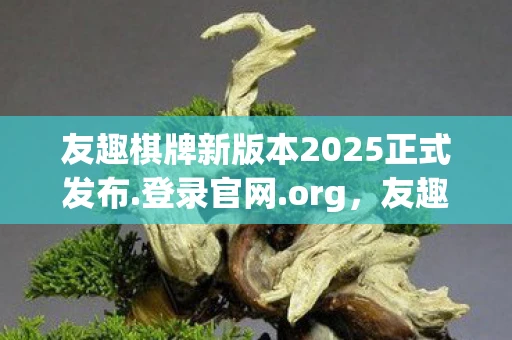 友趣棋牌新版本2025正式发布.登录官网.org，友趣，在数字时代寻找真正的社交连接