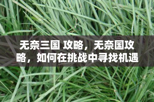 无奈三国 攻略，无奈国攻略，如何在挑战中寻找机遇