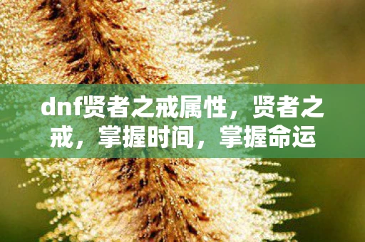 dnf贤者之戒属性,贤者之戒,掌握时间,掌握命运 dnf贤者之戒属性,贤者之戒,掌握时间,掌握命运