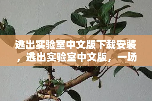 逃出实验室中文版下载安装,逃出实验室中文版,一场智慧与勇气的冒险 逃出实验室中文版下载安装,逃出实验室中文版,一场智慧与勇气的冒险