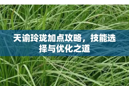技能选择与优化之道图片