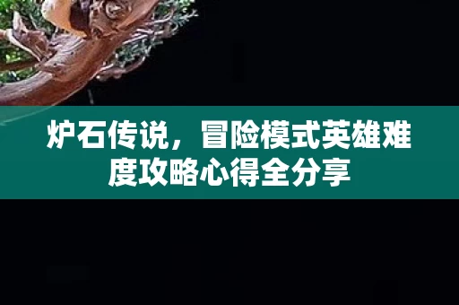冒险模式英雄难度攻略心得全分享图片