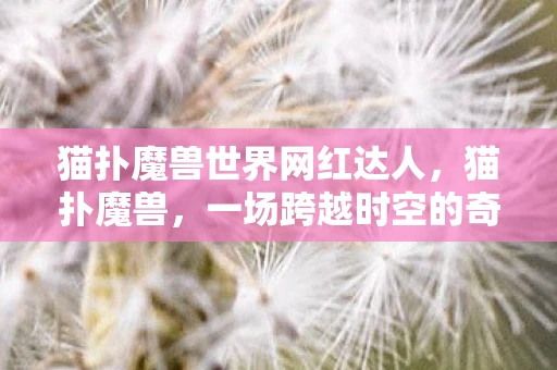 猫扑魔兽世界网红达人,猫扑魔兽,一场跨越时空的奇幻冒险 猫扑魔兽世界网红达人,猫扑魔兽,一场跨越时空的奇幻冒险