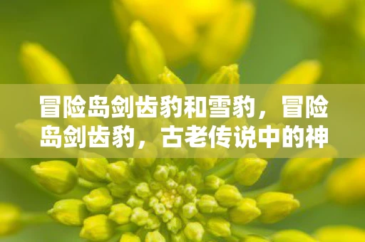 冒险岛剑齿豹和雪豹,冒险岛剑齿豹,古老传说中的神秘生物 冒险岛剑齿豹和雪豹,冒险岛剑齿豹,古老传说中的神秘生物